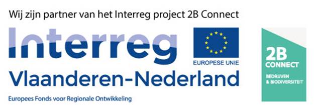 Logo 2B Connect en Interreg
