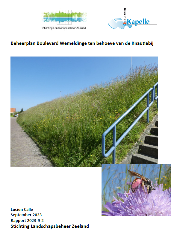 Beheerplan Boulevard Wemeldinge ten behoeve van de Knautiabij 2023