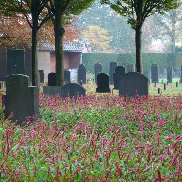 begraafplaats zaamslag
