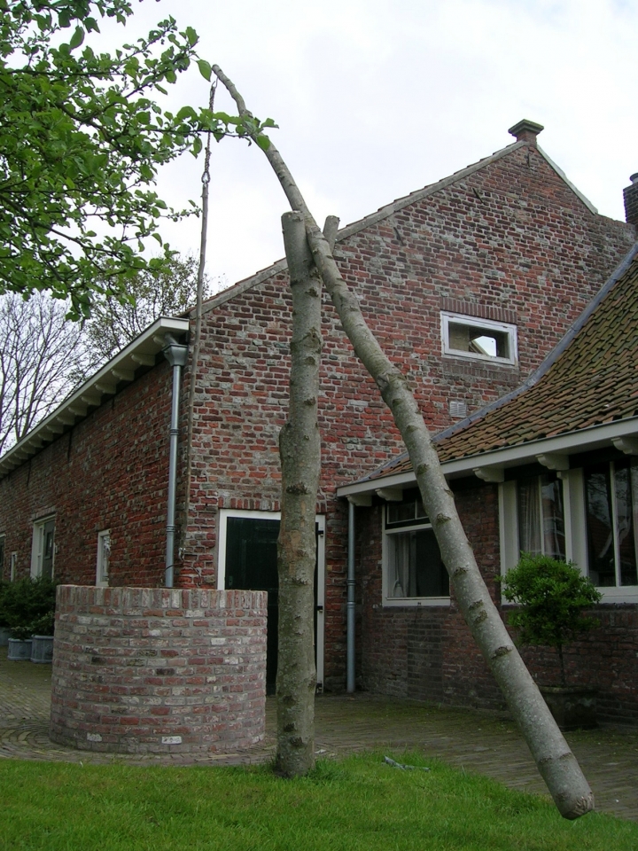 Op het erf van de familie Van der Hoeven te Koudekerke. Foto: SLZ
