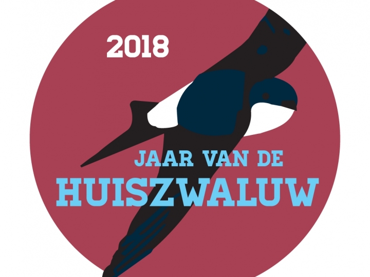 logo huiszwaluw jaar van de